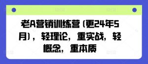 老A营销训练营(更24年12月),轻理论,重实战,轻概念,重本质-网创星球