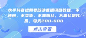 快手抖音视频号放映直播项目教程,不违规,不卖货,不靠粉丝,不靠礼物打赏,每天200-600-网创星球