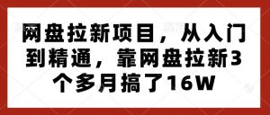 网盘拉新项目,从入门到精通,靠网盘拉新3个多月搞了16W-网创星球