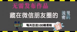 藏在微信朋友圈的流量密码,无需发布作品,单日引流100+精准创业粉【揭秘】-网创星球
