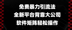 免费暴力引流法，全新平台，背靠大公司，软件矩阵轻松操作-网创星球
