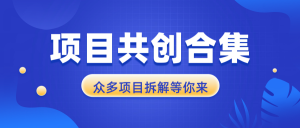 项目共创合集，从0-1全过程拆解，让你迅速找到适合自已的项目-网创星球