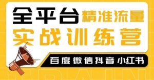 全平台精准流量实战训练营，百度微信抖音小红书SEO引流教程-网创星球