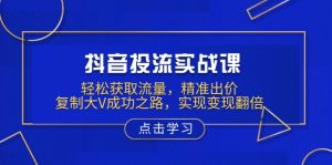 抖音投流实战课,轻松获取流量,精准出价,复制大V成功之路,实现变现翻倍-网创星球