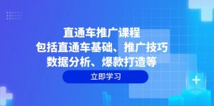 直通车推广课程：包括直通车基础、推广技巧、数据分析、爆款打造等-网创星球