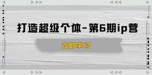 打造 超级个体-第6期ip营:商业认知,产品设计,成交演练,解决知识变现难题-网创星球