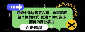 超级个体ip营第六期,未来是超级个体的时代 帮助个体打造小而美的商业模式-网创星球