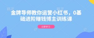 金牌导师教你运营小红书,0基础进阶赚钱博主训练课-网创星球