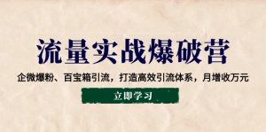 流量实战爆破营:企微爆粉、百宝箱引流,打造高效引流体系,月增收万元-网创星球