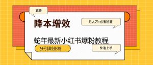 蛇年最新小红书爆粉教程，狂引副业粉，月入万+必看-网创星球