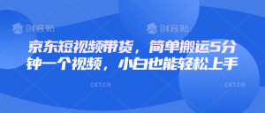 京东短视频带货,简单搬运5分钟一个视频,小白也能轻松上手-网创星球