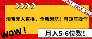 淘宝无人直播，全新起航！可矩阵操作，月入5-6位数！-网创星球
