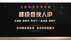 互联网项目天花板,超级合伙人IP,全网都在割韭菜,我来教你做镰刀【仅揭秘】-网创星球