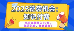 2025逆袭项目——知识付费，小白也能月入10万年入百万，抓住机会彻底翻…-网创星球