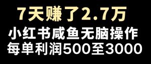 最赚钱项目之一，2025爆火，逆风翻盘！-网创星球