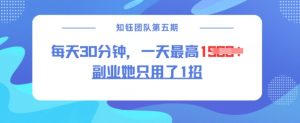 副业她只用了1招,每天30分钟,无脑二创,一天最高1.5k-网创星球