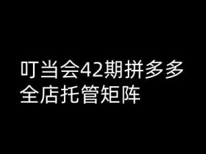 叮当会拼多多打爆班原创高阶技术第42期,拼多多全店托管矩阵-网创星球