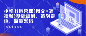小红书运营课(图文+短视频)基础规则、策划定位、流量密码-网创星球