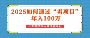2025年如何通过“卖项目”实现100万收益:最具潜力的盈利模式解析-网创星球