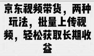 京东视频带货,两种玩法,批量上传视频,轻松获取长期收益-网创星球