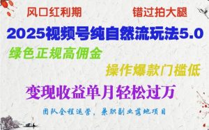 2025视频号纯自然流玩法5.0,绿色正规高佣金,操作爆款门槛低,变现收益单月轻松过万-网创星球