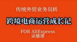 跨境电商速卖通运营课,运营方法论+后台实操,逻辑清晰-网创星球