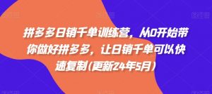 拼多多日销千单训练营,从0开始带你做好拼多多,让日销千单可以快速复制(更新25年2月)-网创星球