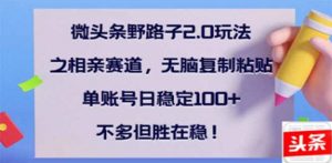 微头条野路子2.0玩法之相亲赛道,无脑搬砖复制粘贴,单账号日稳定300+…-网创星球