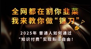 知识付费如何做到月入过W+,2025我来教你做“镰刀”【揭秘】-网创星球