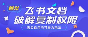 首发飞书文档破解复制权限，售卖自用均可暴力玩法-网创星球