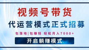 【视频号代运营】全程托管计划招募,躺赚模式,单月轻松变现7000+-网创星球