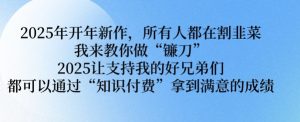 2025年开年新作,所有人都在割韭菜,我来教你做“镰刀” 2025让支持我的好兄弟们都可以通过“知识付费”拿到满意的成绩【揭秘】-网创星球