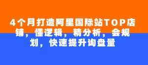 4个月打造阿里国际站TOP店铺,懂逻辑,精分析,会规划,快速提升询盘量-网创星球
