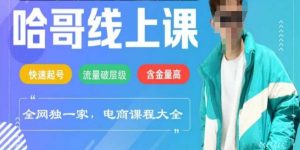 电商线上课程2025年,快速起号,流量破层级,这套方法起号率99%-网创星球