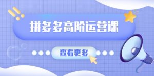 拼多多高阶运营课:极致群爆款玩法,轻付费无尽复制,打造单品爆款之路-网创星球