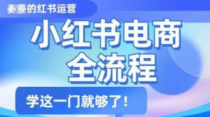 小红书电商全流程,精简易懂,从入门到精通,学这一门就够了-网创星球