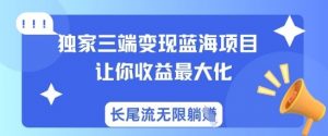 独家三端变现蓝海项目，让你收益最大化，长尾流无限躺挣-网创星球