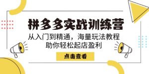 拼多多实战训练营,从入门到精通,海量玩法教程,助你轻松起店盈利-网创星球