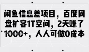 闲鱼信息差项目,百度网盘扩容1T空间,2天收益1k+,人人可做0成本-网创星球