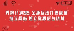 男粉计划2025 全新玩法打爆流量 独立网站 独立资源后台扶持【揭秘】-网创星球