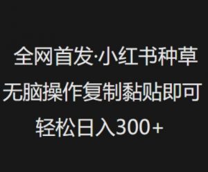 全网首发,小红书种草无脑操作,复制黏贴即可,轻松日入3张-网创星球
