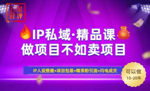 2025年“IP私域·密训精品课”,日赚3000+小白避坑年赚百万,暴力引流…-网创星球