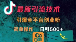 最新引流方法,引爆全平台的一个创业粉,简单操作日引300+-网创星球