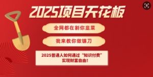 2025项目天花板普通人如何通过知识付费,实现财F自由【揭秘】-网创星球