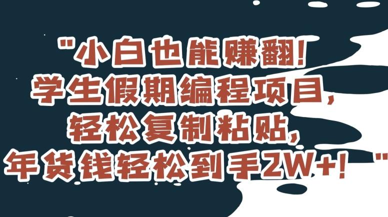 小白也能赚翻!学生假期编程项目,轻松复制粘贴,年货钱轻松到手2W+【揭秘】