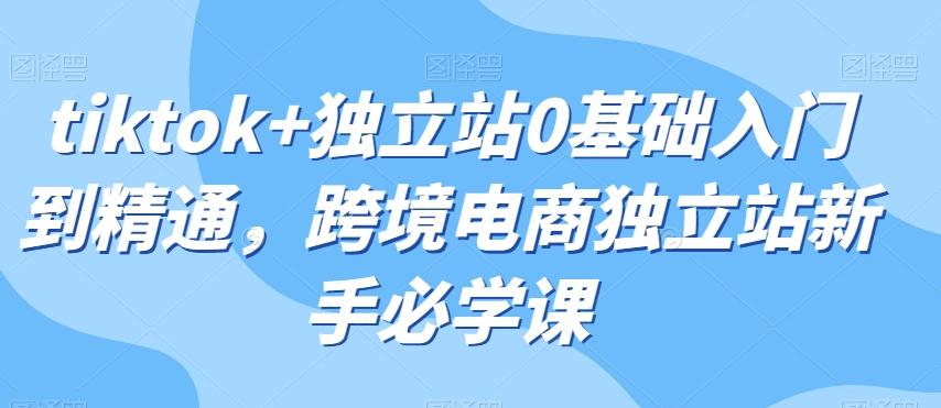 tiktok+独立站0基础入门到精通,跨境电商独立站新手必学课