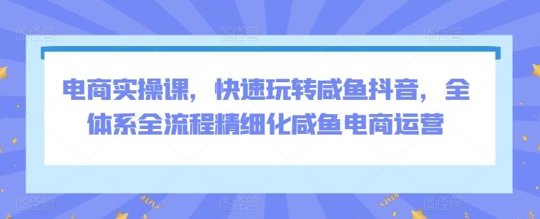 电商实操课,快速玩转咸鱼抖音,全体系全流程精细化咸鱼电商运营